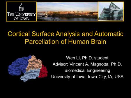 Cortical Surface Analysis and Automatic Parcellation of Human Brain Wen Li, Ph.D. student Advisor: Vincent A. Magnotta, Ph.D. Biomedical Engineering University.