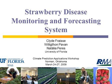 Strawberry Disease Monitoring and Forecasting System Clyde Fraisse Willigthon Pavan Natália Peres University of Florida Climate Prediction Applications.