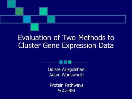 Evaluation of Two Methods to Cluster Gene Expression Data Odisse Azizgolshani Adam Wadsworth Protein Pathways SoCalBSI.