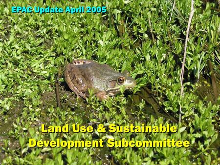 EPAC Land Use & Sustainable Development Subcommittee EPAC Update April 2005 Land Use & Sustainable Development Subcommittee.