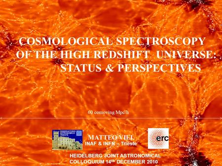 COSMOLOGICAL SPECTROSCOPY OF THE HIGH REDSHIFT UNIVERSE: STATUS & PERSPECTIVES MATTEO VIEL INAF & INFN – Trieste HEIDELBERG JOINT ASTRONOMICAL COLLOQUIUM.