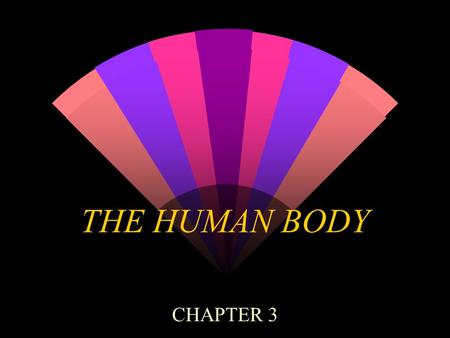 THE HUMAN BODY CHAPTER 3 THE RESPIRATORY SYSTEM w NOSE- warms & filters air w PHARYNX AND TRACHEA- normal swallowing controls don’t operate when unconcious.