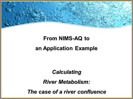 From NIMS-AQ to an Application Example Calculating River Metabolism: The case of a river confluence.