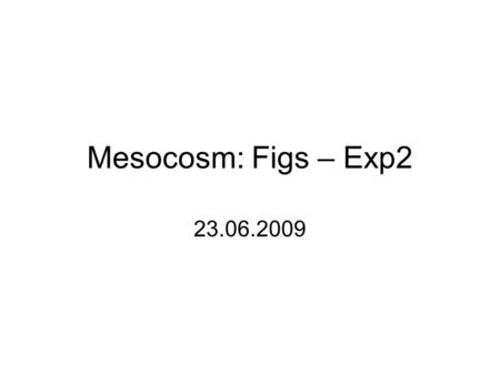 Mesocosm: Figs – Exp2 23.06.2009. 10:57 towards the end of the fill via plant chamber.