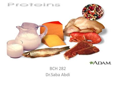 BCH 282 Dr.Saba Abdi.