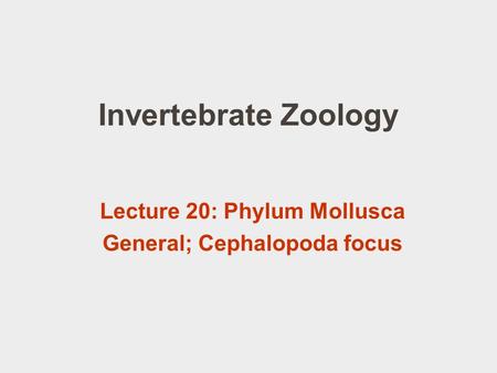Invertebrate Zoology Lecture 20: Phylum Mollusca General; Cephalopoda focus.