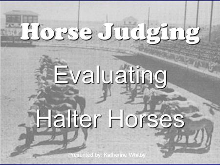 Horse Judging Evaluating Halter Horses Presented by: Katherine Whitby.
