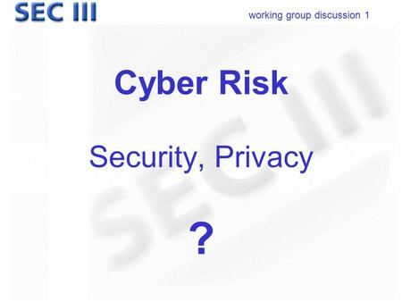 Working group discussion 1 Cyber Risk Security, Privacy ?