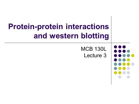 Protein-protein interactions and western blotting MCB 130L Lecture 3.