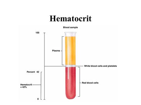 Hematocrit. hematocrit is the percentage of whole blood which is composed of solid material –cells, platelets etc the blood is composed primarily of water.