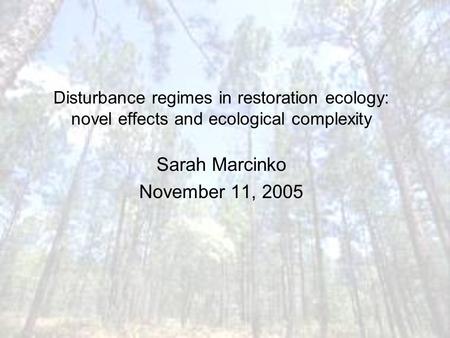 Disturbance regimes in restoration ecology: novel effects and ecological complexity Sarah Marcinko November 11, 2005.
