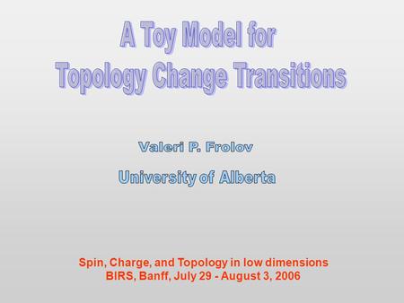 Spin, Charge, and Topology in low dimensions BIRS, Banff, July 29 - August 3, 2006.