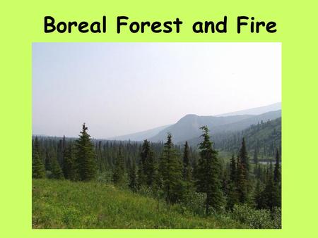 Boreal Forest and Fire. sq. mi.sq. km. Boreal Forests 6.416.6 Other Forests 12.833.2.