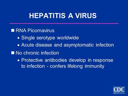 HEPATITIS A VIRUS RNA Picornavirus  Single serotype worldwide  Acute disease and asymptomatic infection No chronic infection  Protective antibodies.