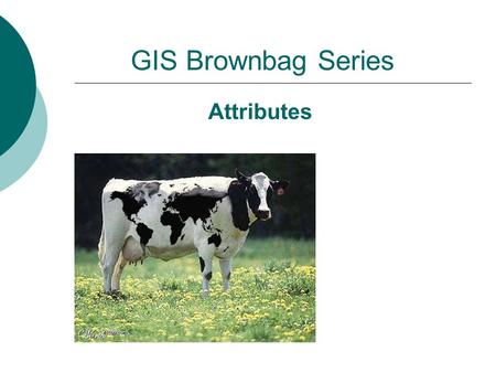 GIS Brownbag Series Attributes. In the beginning… Earliest GIS systems did not have attributes Needed separate layers for labels (e.g. names) CAD software.