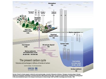 Oceanic Carbon Cycle Upwelling brings nutrients (e.g. PO 4 ) to euphotic zone Photosynthesis (Dissolved Inorg  Particulate Organic Matter) Recycling.