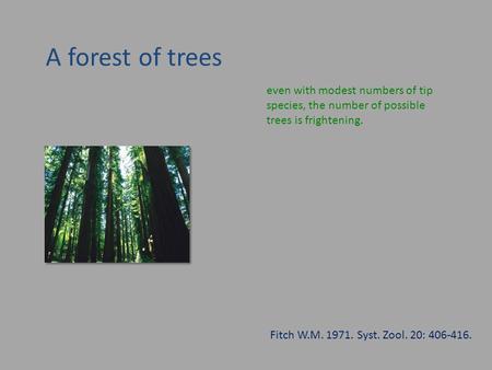 A forest of trees even with modest numbers of tip species, the number of possible trees is frightening. Fitch W.M. 1971. Syst. Zool. 20: 406-416.