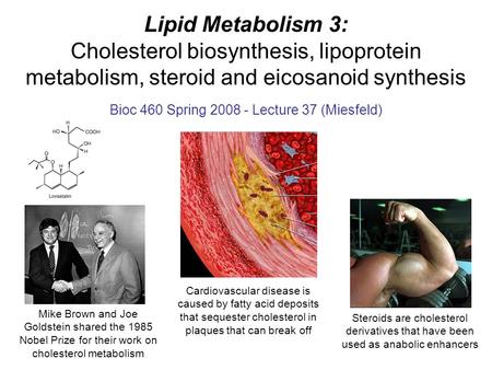 Lipid Metabolism 3: Cholesterol biosynthesis, lipoprotein metabolism, steroid and eicosanoid synthesis Bioc 460 Spring 2008 - Lecture 37 (Miesfeld) Steroids.