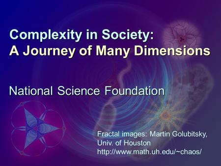 Complexity in Society: A Journey of Many Dimensions National Science Foundation Fractal images: Martin Golubitsky, Univ. of Houston