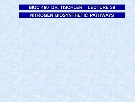 NITROGEN BIOSYNTHETIC PATHWAYS BIOC 460 DR. TISCHLER LECTURE 39.