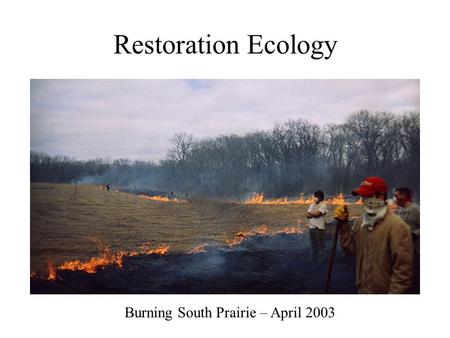 Restoration Ecology Burning South Prairie – April 2003.