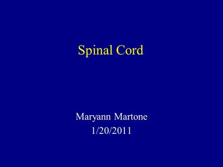 Spinal Cord Maryann Martone 1/20/2011. Functions of Spinal Cord Final common pathway for the somatomotor system Conveys somatosensory information from.