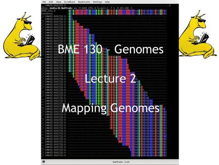 BME 130 – Genomes Lecture 2 Mapping Genomes. Genomics in the news Scooped. Stephan Schuster's rivals beat him to the punch last week with announcements.