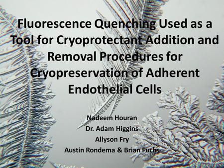 Fluorescence Quenching Used as a Tool for Cryoprotectant Addition and Removal Procedures for Cryopreservation of Adherent Endothelial Cells Nadeem Houran.