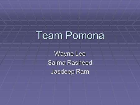 Team Pomona Wayne Lee Salma Rasheed Jasdeep Ram. Teddy.