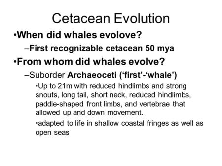 Cetacean Evolution When did whales evolove? –First recognizable cetacean 50 mya From whom did whales evolve? –Suborder Archaeoceti (‘first’-‘whale’) Up.