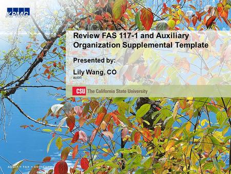 Review FAS 117-1 and Auxiliary Organization Supplemental Template Presented by: Lily Wang, CO AUDIT.