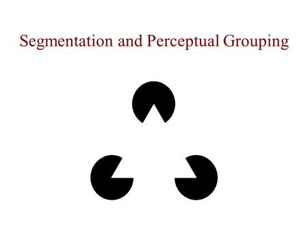 Segmentation and Perceptual Grouping. The image of this cube contradicts the optical image.