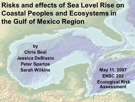Risks and effects of Sea Level Rise on Coastal Peoples and Ecosystems in the Gulf of Mexico Region by Chris Beal Jessica DeBiasio Peter Spartos Sarah Wilkins.