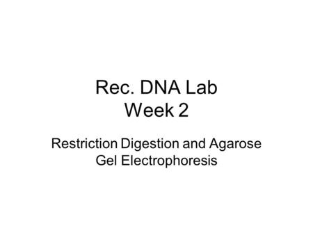 Rec. DNA Lab Week 2 Restriction Digestion and Agarose Gel Electrophoresis.