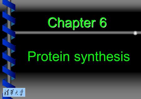 Chapter 6 Protein synthesis. 6.1 Introduction 6.2 The stages of protein synthesis 6.3 Initiation in bacteria needs 30S subunits and accessory factors.