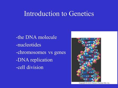 Introduction to Genetics -the DNA molecule -nucleotides -chromosomes vs genes -DNA replication -cell division.