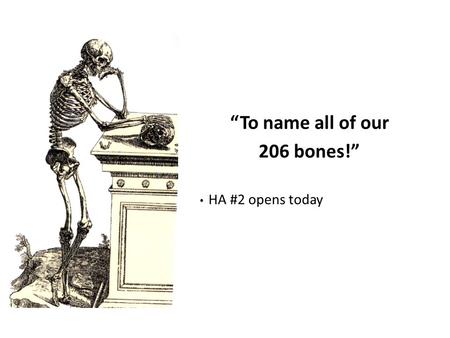 “To name all of our 206 bones!”