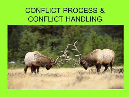 CONFLICT PROCESS & CONFLICT HANDLING. WHAT IS CONFLICT? Conflict is a disagreement through which the parties involved perceive a threat to their needs,
