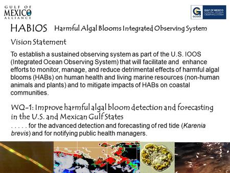 Harmful Algal Blooms Integrated Observing System HABIOS Vision Statement To establish a sustained observing system as part of the U.S. IOOS (Integrated.