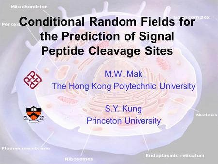 M.W. Mak and S.Y. Kung, ICASSP’09 1 Conditional Random Fields for the Prediction of Signal Peptide Cleavage Sites M.W. Mak The Hong Kong Polytechnic University.