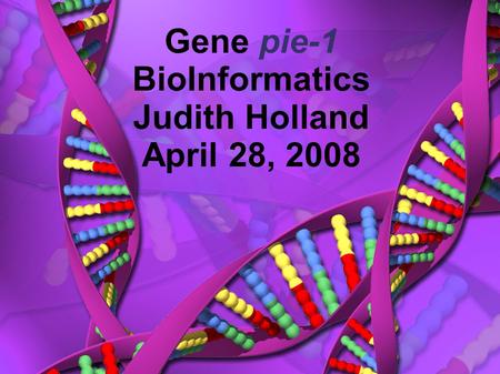 Gene pie-1 BioInformatics Judith Holland April 28, 2008.