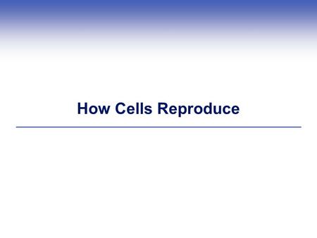 How Cells Reproduce.
