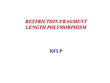 RESTRICTION FRAGMENT LENGTH POLYMORPHISM RFLP. 1. Extraction The first step in DNA typing is extraction of the DNA from the sample, be it blood, saliva,