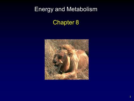 1 Energy and Metabolism Chapter 8. 2 Outline Flow of Energy in Living Things Laws of Thermodynamics Free Energy Activation Energy Enzymes – Forms – Activity.