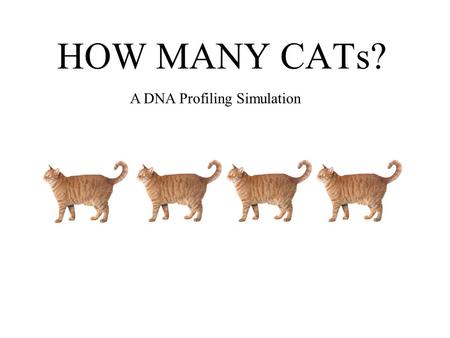 HOW MANY CATs? A DNA Profiling Simulation.