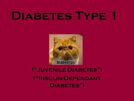 Diabetes Type 1 (“Juvenile Diabetes”) (“Insulin-Dependant Diabetes”)