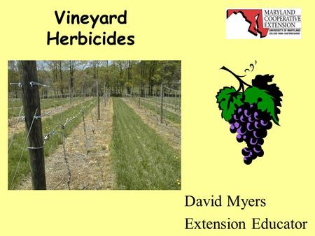 Vineyard Herbicides David Myers Extension Educator.