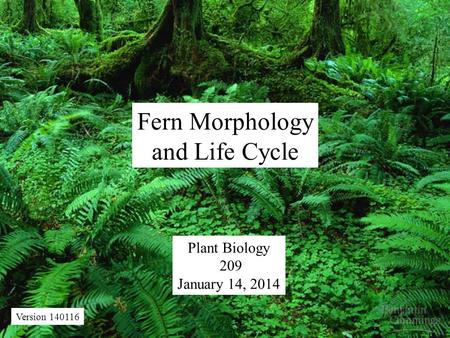 Fern Morphology and Life Cycle Plant Biology 209 January 14, 2014 Version 140116.