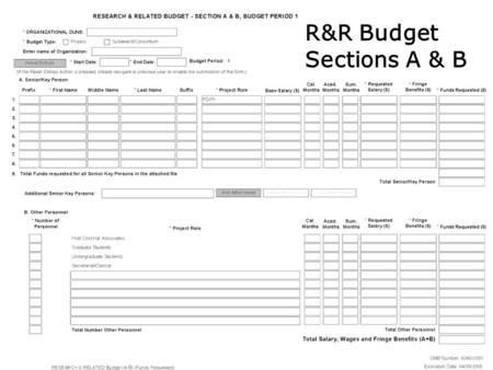 R&R Budget Sections A & B. 2 R&R Budget, Sections A & B Personnel separated into 2 sections A. Senior/Key Person –Allows 8 as named individuals & structured.