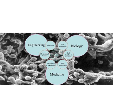 Biology Medicine Engineering Bioreactor Cell Engineering Monitoring &